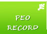 Download PEO Experience Record